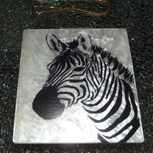 mini  BAG/CLUTCH/CROSSBODY ACRYLIC/LUCITE